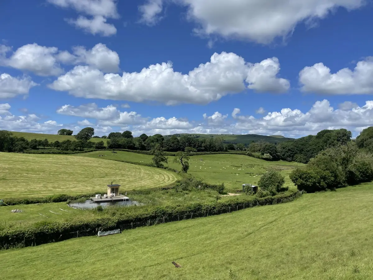 The valley from above: the pool and sauna, Dolly the Hut, sheep in the fields and the fells beyond